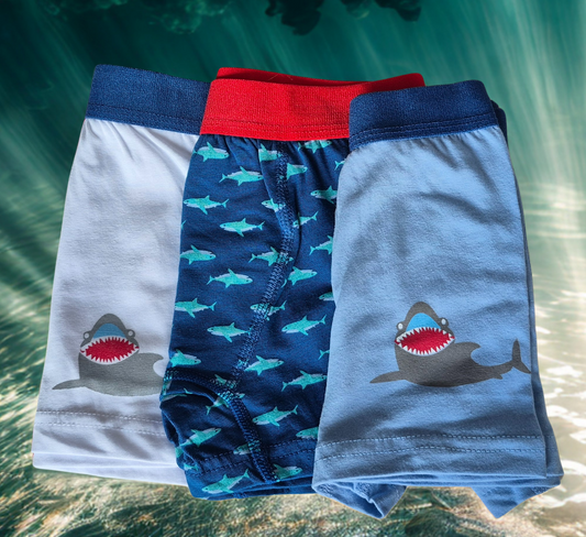 3lü Baskılı Boxer Set